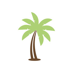 Obraz premium palm tree on white background