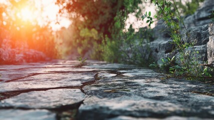 Fototapeta premium A pathway made of ancient stones runs under soft sunlight. Green plants grow along the sides, showing signs of life in the area.