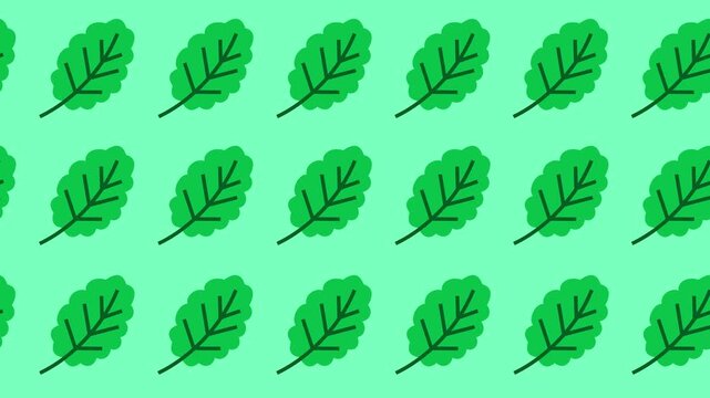 Minimalist flat design foliage wallpaper in a tile backdrop looping cartoon animation. Oak leaf repeating pattern for summer and nature background themes. Natural seamless texture graphic screen.