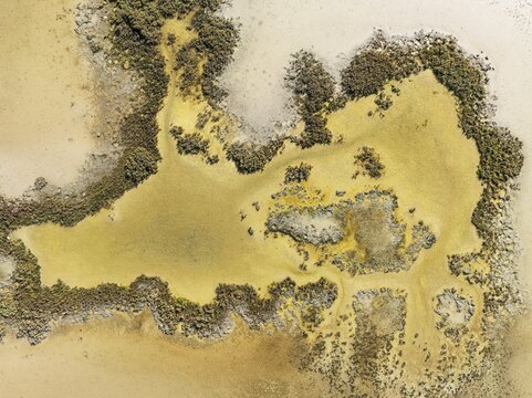 Marshland at low tide. Nature Reserve La Bre&ntilde;a y Marismas del Barbate. Aerial view. Drone shot. C&aacute;diz province, Andalusia, Spain