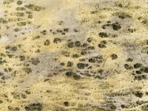 Detail of marshland near Sanl&uacute;car de Barrameda. Aerial view. Drone shot. C&aacute;diz province, Andalusia, Spain