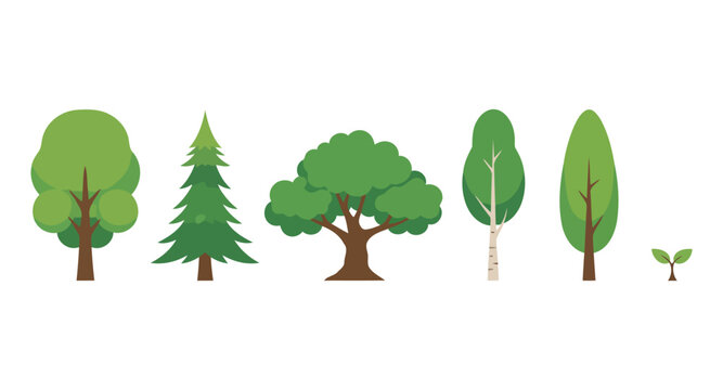 Set of Flat Vector Tree Icons and Sapling Representing Different Species and Growth Stages
