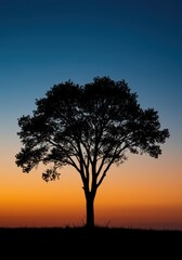 A dramatic backlit scene featuring the stark outline of a solitary tree against a vibrant, fading evening sky. High contrast and peaceful, black, monochrome, peaceful