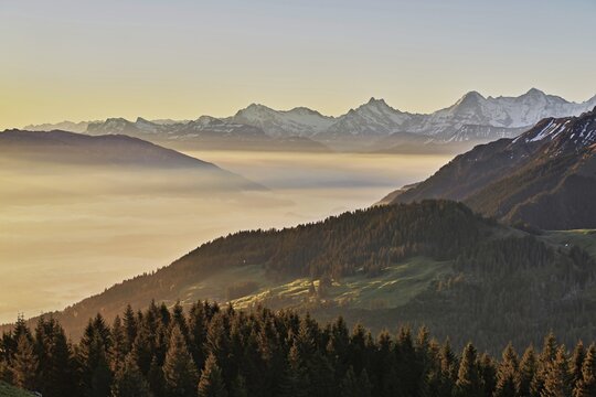 View from the Gurnigel Pass over the sea of fog behind Schreckhorn, Eiger, M&ouml;nch, Canton Bern, Switzerland