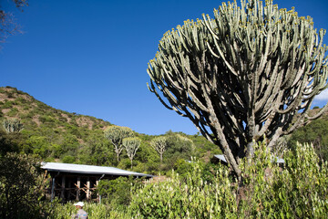 Ethiopia landscape on a cloudy winter day.