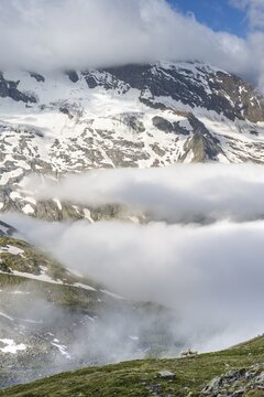 Two sheep on a mountain meadow in front of a mountain landscape, high fog in the valley, behind mountain peak Dosso Largo and glacier Schlegeiskees, Berliner H&ouml;henweg, Zillertal Alps, Tyrol, Austria