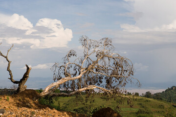 Ethiopia landscape on a cloudy winter day.