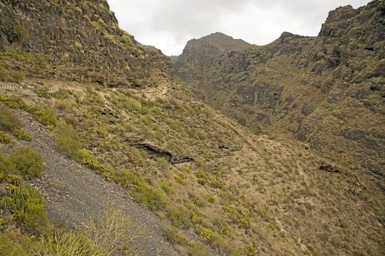Barranco del Infierno, Gorge of Hell, Tenerife, Canary Islands, Spain