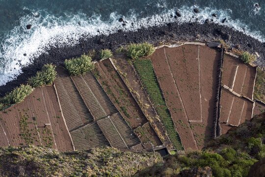 View from the glass-bottom skywalk, Cabo Girao, of terraced fields by the sea, Camara de Lobos, Madeira Island, Portugal