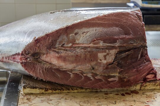 Tuna, fish market, market hall Mercado dos Lavradores, Funchal, Madeira Island, Portugal