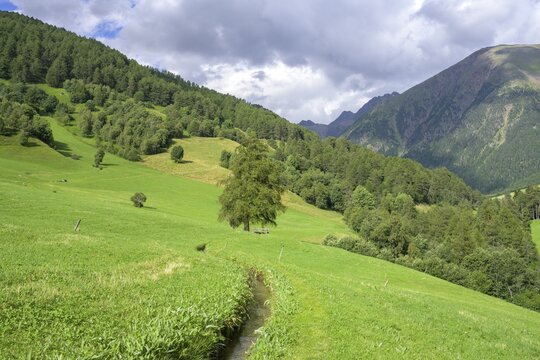 Ackerwaal, Matschertal, Mals, South Tyrol, Italy
