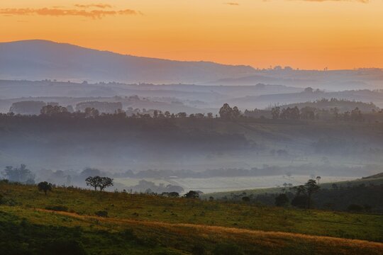 Early morning fog over valleys and mountains, Serra da Canastra, Minas Gerais state, Brazil