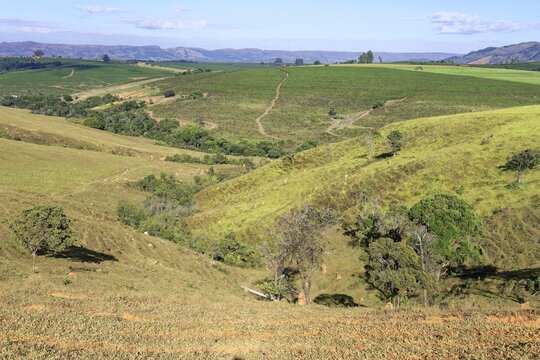 Serra da Canastra landscape, Sao Roque das Minas, Minas Gerais state, Brazil