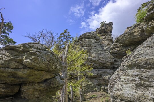 Climbing Rock Hohe Stein, Rossatz-Arnsdorf, Lower Austria, Austria