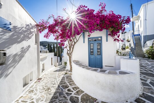 White Cycladic house with blue door and pink bougainvillea, with sun star, picturesque alleys of the village of Lefkes, Paros, Cyclades, Greece