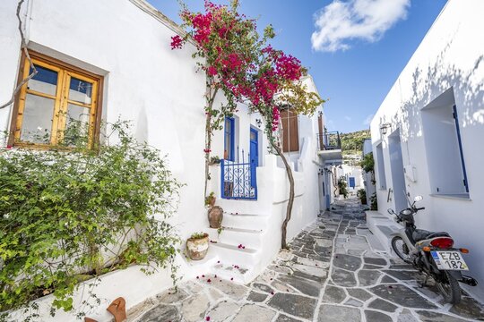 White Cycladic houses with blue doors and windows and flower pots with red bougainvillea, picturesque alleys of the village of Lefkes, Paros, Cyclades, Greece