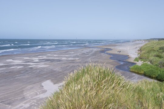 Dunes and sandy beach by the sea, wind turbines in the back, Kjul Strand, Hirtshals, Denmark