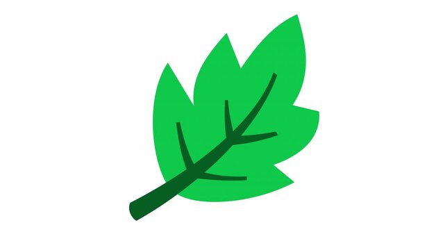 A single green leaf icon isolated on a transparent background. Flat design botanical element for eco-friendly symbol. Natural fresh decoration concept.