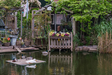 Platform on a pond with ducks in Volendam, Netherlands