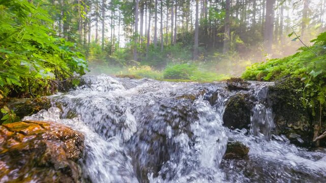 Peaceful woodland river with gentle water flow and lush green forest, relaxing nature scene captured with smooth cinematic camera movement. Magical forest river. Slow motion, gimbal shot