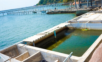 Cement ponds for saltwater fish located near the sea; small cement ponds for raising saltwater fish.