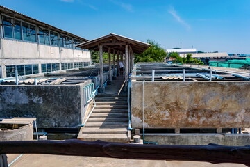 Several cement ponds for raising small animals.