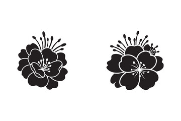 Elegant blooming flower silhouette with white background