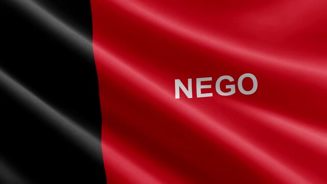 Paraiba state of Brazil Waving Flag Animation with Realistic Silk Texture Loop