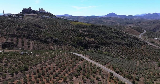 Aerial drone shot panorama wide view of the white town village of Olvera in Andalusia, Spain, Europe. Traditional castle and church on hill, and olive trees. Drone orbiting