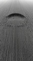 Abstract Digital Landscape Depicting Data Waves and Binary Numbers in Monochrome Style