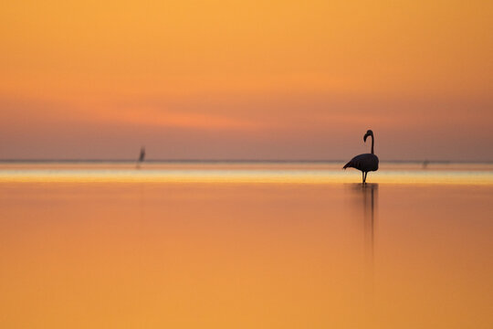 sunset on the beach