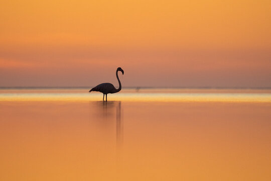 sunset on the beach