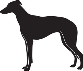 Fototapeta premium Isolated black silhouette of a standing pet dog vector illustration and animal mammal clip art on white background