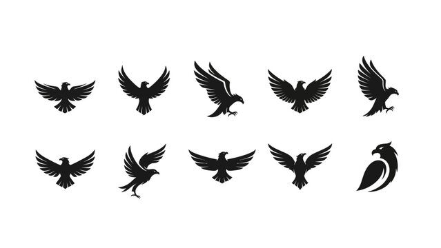 Set of 10 Black Eagle Bird Logos Vector