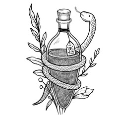 Vector alchemy Flask with liquid and Snake in graphic style. Linear illustration of Potion for occult fantasy themes, magic symbols, tarot designs, posters, tattoos and mystical compositions. © Alisles