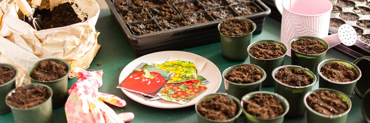 This setting features a range of small pots filled with soil, planning trays, and gardening tools as tomato seeds are carefully planted indoors in preparation for spring growth, banner