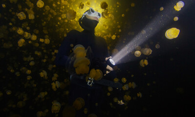 Underwater shot of the freediver swimming with the torch at night in the lake full of jellyfish.