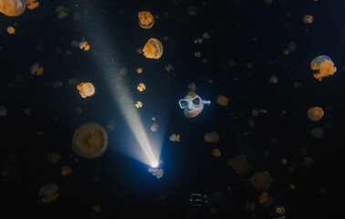Underwater shot of the freediver swimming with the torch at night in the lake full of jellyfish.
