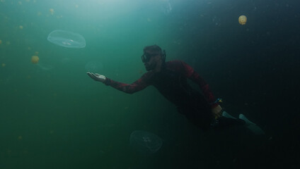 Underwater shot of the freediver swimming in the lake full of jellyfish.