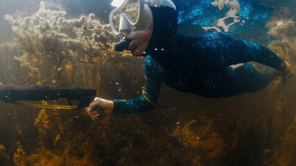 River spearfishing. Woman with speargun swims underwater in the murky river and explores area full of underwater plants