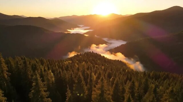 Aerial view of a serene forest landscape with a winding river at sunrise