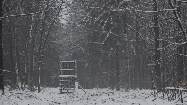 Schneefall und Nebel im Wald in HDR HLG