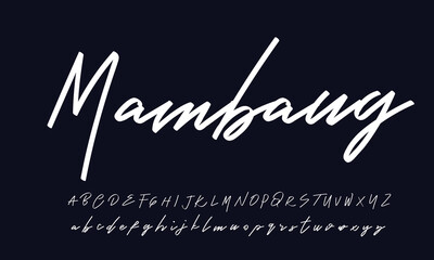 signature Font Calligraphy Logotype Script Brush Font Type Font lettering handwritten 