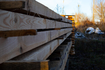 Wooden planks stacked neatly at a construction site during late afternoon sunlight near a wooded area