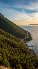 Fototapeta premium Aerial view of coastal road along a mountain slope covered in dense green forest, meets a calm sea under a bright sky, symbolizing scenic route and adventure