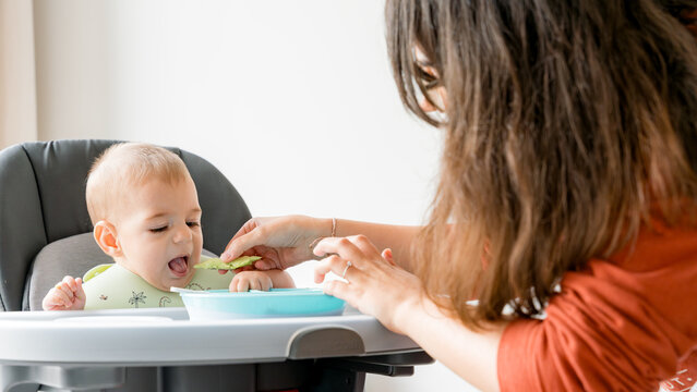 Baby led weaning with family at mealtime