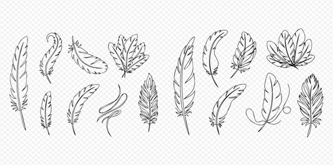 Collection of hand-drawn feather illustrations, perfect for decorative and bohemian designs. © Lunara Arts