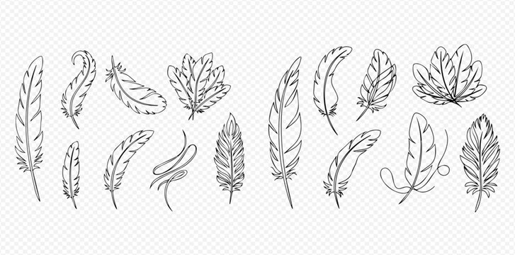 Collection of hand-drawn feather illustrations, perfect for decorative and bohemian designs.