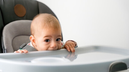 Curious five month old baby exploring with teething