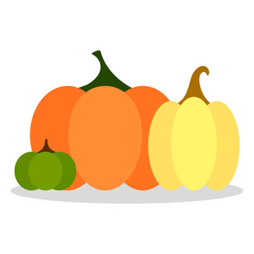 pumpkin image. vegetable, orange vector. autumn picher.